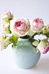 Rosen in Japanischer Vase by o9ider