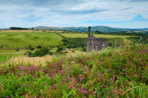 Wheal Betsy Engine House, Dartmoor von Craig Joiner