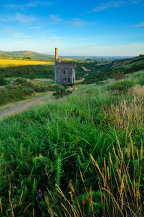 Wheal Betsy Engine House, Dartmoor von Craig Joiner