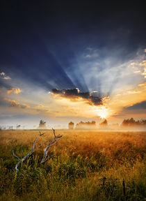 Through the Sky von Maxim Khytra