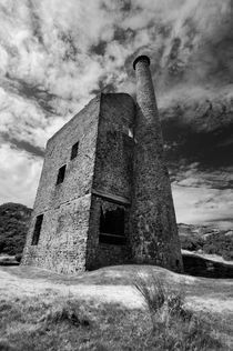 Wheal Betsy Engine House, Dartmoor von Craig Joiner