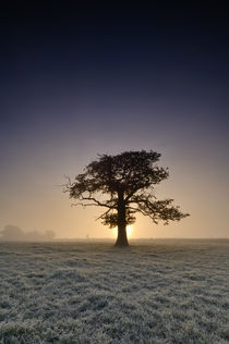 Winter Sunrise von Craig Joiner