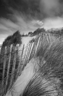 Sand Dunes at Northam Burrows by Craig Joiner
