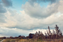 Landschaft in Dänemark von Elisabeth Cölfen