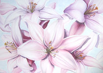 Lilien 1 by Renate Berghaus