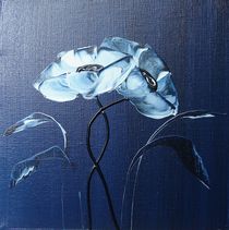 blue velvet I