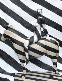 Zebra stripes von Kurt Röhrken