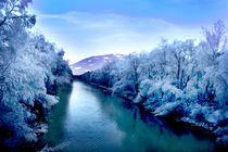 Blue river von Amirali Sadeghi