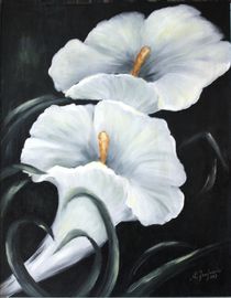 Weiße Calla - Blumenbilder schwarzweiß von Marita Zacharias