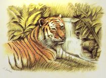 Tiger im Dschungel - handgemalt  von Marita Zacharias
