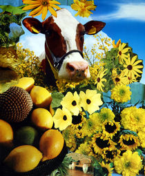 Flower Power Cow by Yvonne Pfeifer