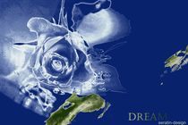 Dream Rosencreation von Martina Ute Rudolf