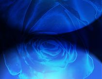 Ozeanblue Diamond Rose  von Martina Ute Rudolf