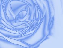 Something Blue like a modern  Rose von Martina Ute Rudolf