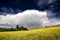 farmlandschaft von marcus paschedag