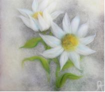 Soft Flowers von Birgit Albert