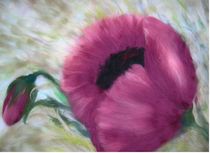 Klatschmohn by Birgit Albert