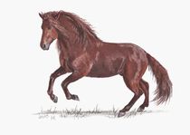 Das Rote Pferd von lona-azur