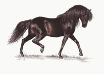 Das Schwarze Pferd by lona-azur