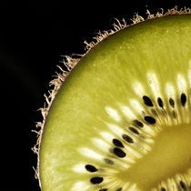 Kiwi by Marcus Finke