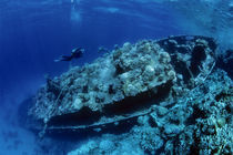 Tug Boat Wreck with diver by Norbert Probst