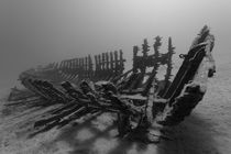 Sunken and Forgotten by Norbert Probst