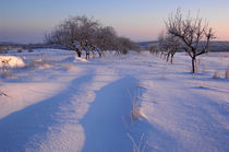 Winterweg by Anne Silbereisen