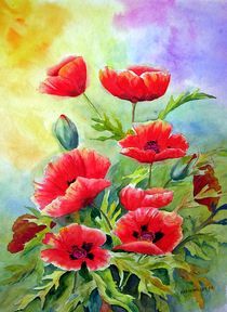 Klatschmohn von Karin Müller