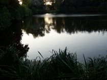 Naturlehrpfad im Ferienpark Blandorf Wichte by petra ristau