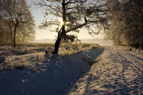 Winter am Niederrhein by Jakob Wilden