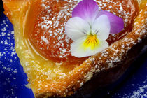 Apricot Pie With Edible Flower |Sweet and Fruity von lizcollet