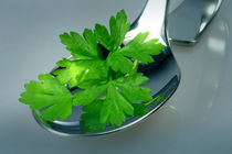 Parsley Proudly Presented by lizcollet