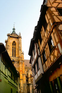 Colmar von lizcollet