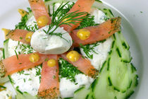 Joghurt-Mousse mit Lachs und Gurke von lizcollet