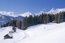 Winterlandschaft von Johannes Netzer