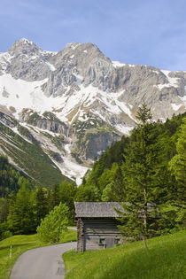 Haus in den Bergen von Johannes Netzer