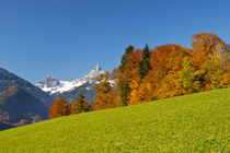 Herbst in den Bergen von Johannes Netzer