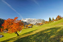 Herbst in den Bergen