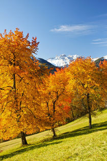 Herbst in den Bergen by Johannes Netzer