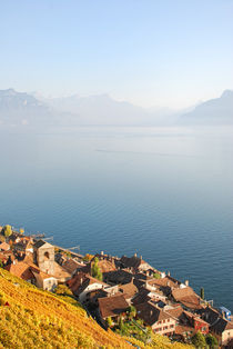 Lavaux by dreamyfaces