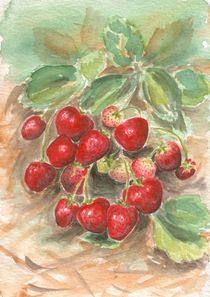 Erdbeeren von Caroline Lembke
