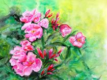 Rosa Oleander von Caroline Lembke