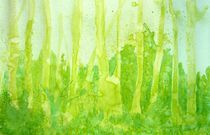 green green forest von Silke Gottschalk