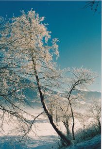 winterlich von Raingard Göbel