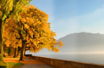 autumn on lake side, beautiful landscape. Switzerland by dreamyfaces