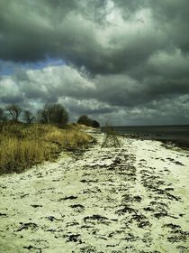 Lavensby Strand by Michael Beilicke