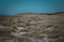 The Dune von Michael Beilicke