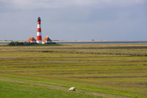 Westerhever und Sankt Peter Ording by Ulf Jungjohann