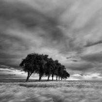 Wolken und Wogen by Henrik Spranz