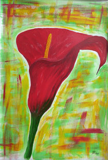 rote Calla by Erika Buresch